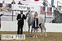 11r14_7183 proof