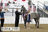 11r14_7191 proof