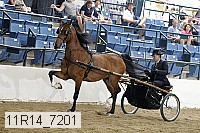 11r14_7201 proof