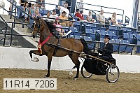 11r14_7206 proof