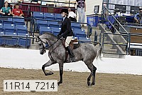 11r14_7214 proof