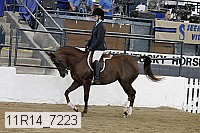 11r14_7223 proof