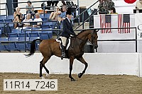 11r14_7246 proof