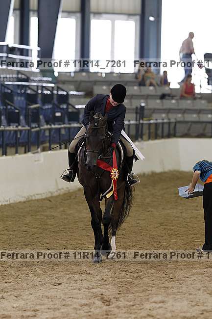 Proof 11r14_7261