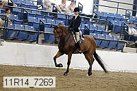 11r14_7269 proof