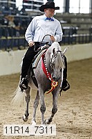 11r14_7311 proof