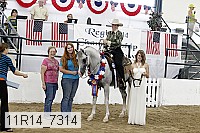 11r14_7314 proof