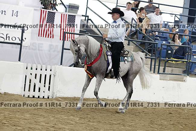 Proof 11r14_7331