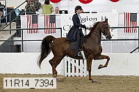 11r14_7394 proof