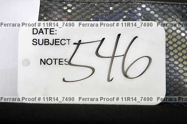 Proof 11r14_7490