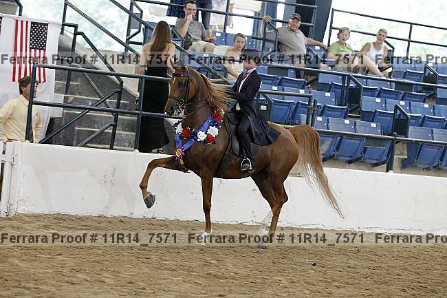 Proof 11r14_7571