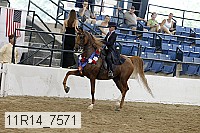 11r14_7571 proof
