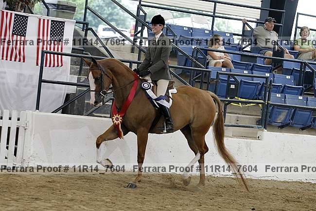 Proof 11r14_7604