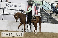 11r14_7631 proof