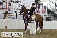 11r14_7765 proof