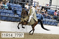 11r14_7797 proof