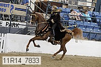 11r14_7833 proof