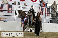 11r14_7844 proof