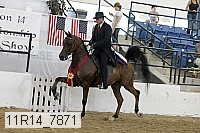 11r14_7871 proof