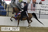 11r14_7877 proof