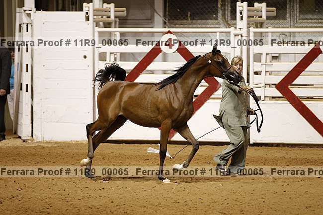 Proof 11r9_00065