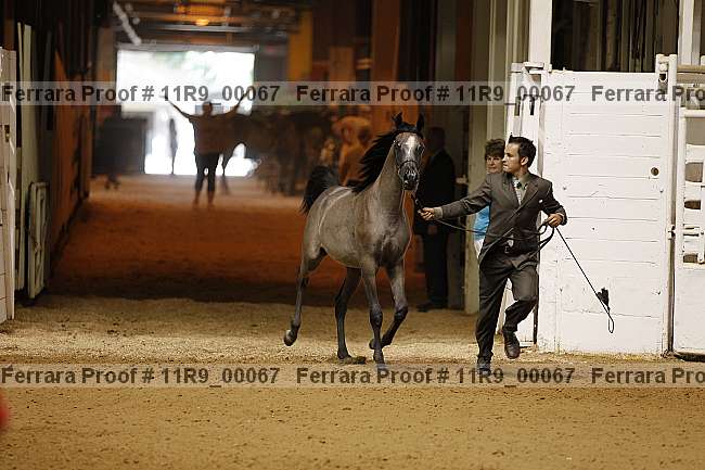 Proof 11r9_00067