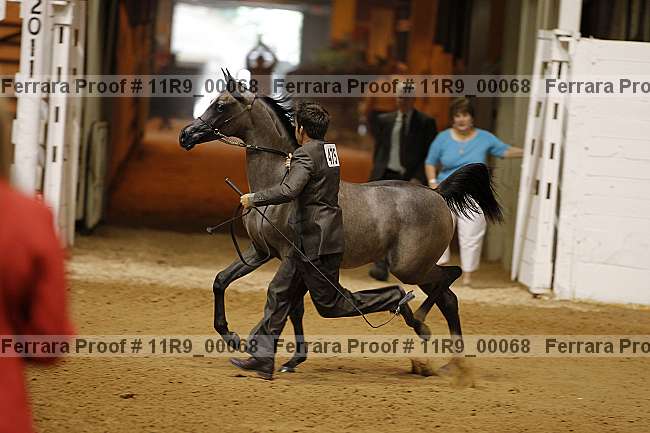 Proof 11r9_00068