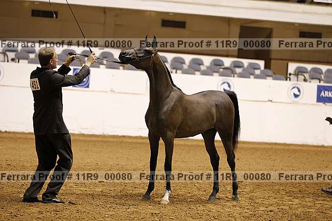 Proof 11r9_00080