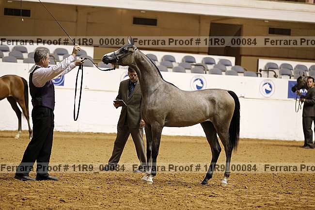 Proof 11r9_00084