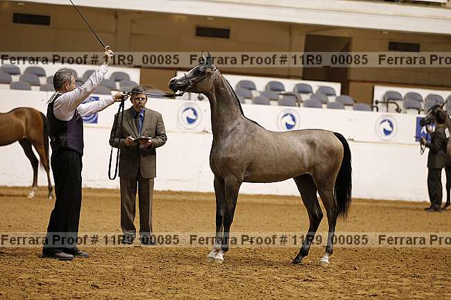 Proof 11r9_00085