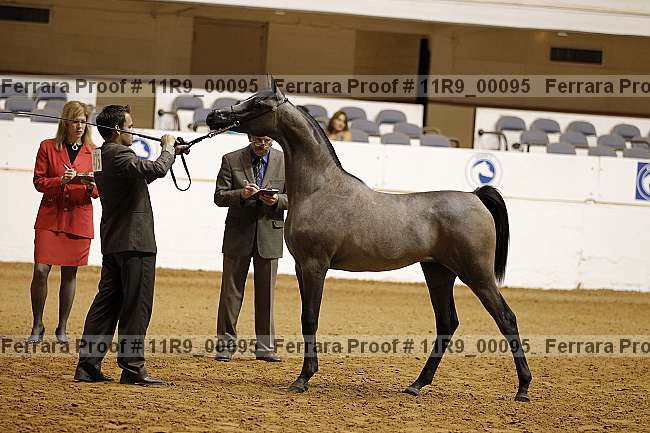 Proof 11r9_00095