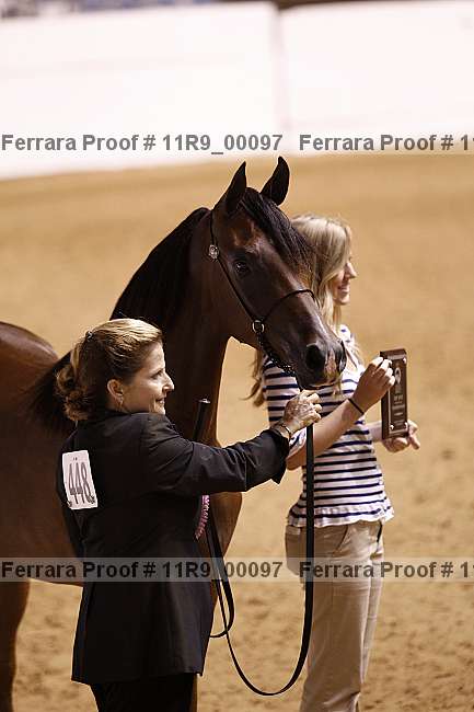 Proof 11r9_00097