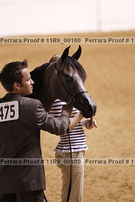 Proof 11r9_00100