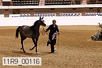 11r9_00116 proof