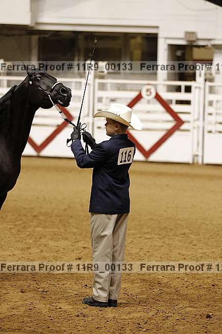 Proof 11r9_00133
