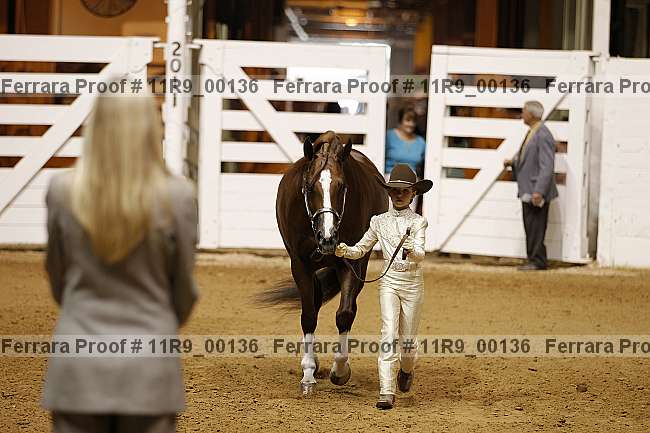 Proof 11r9_00136