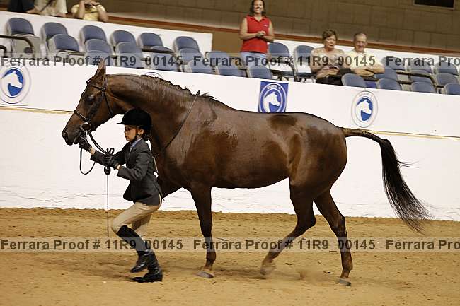 Proof 11r9_00145