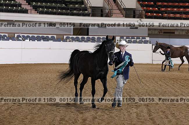 Proof 11r9_00156