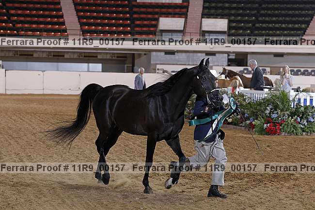 Proof 11r9_00157