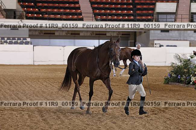 Proof 11r9_00159