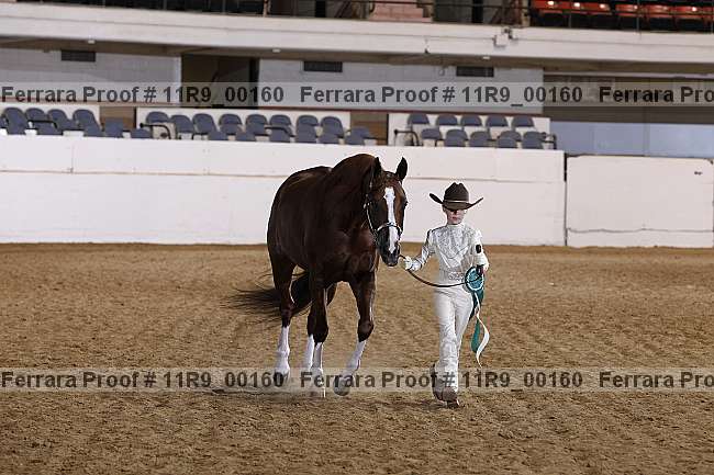 Proof 11r9_00160
