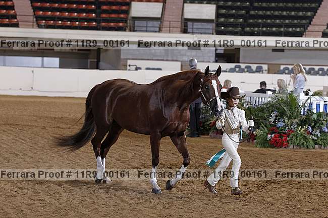 Proof 11r9_00161