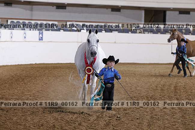 Proof 11r9_00162