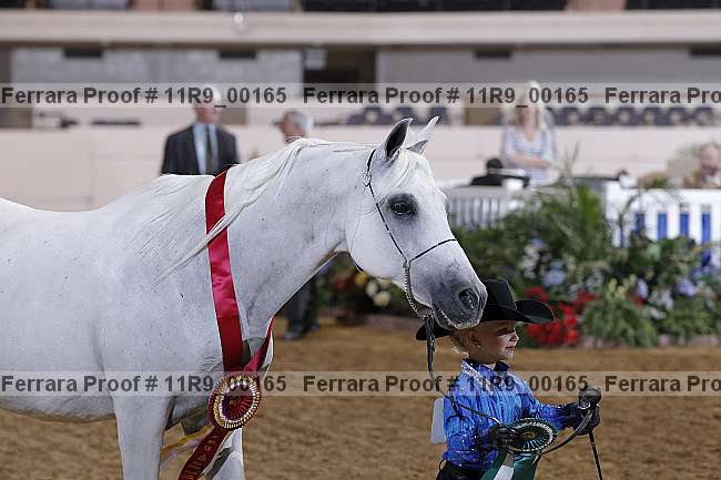 Proof 11r9_00165
