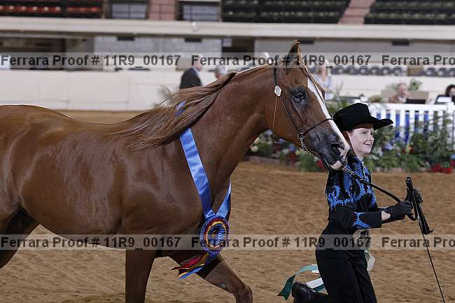 Proof 11r9_00167