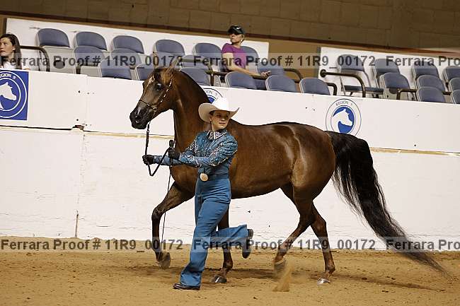 Proof 11r9_00172