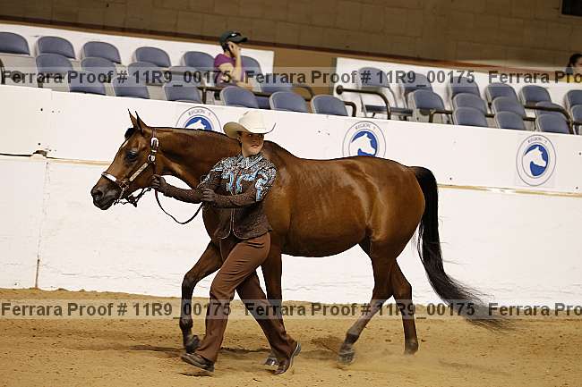 Proof 11r9_00175