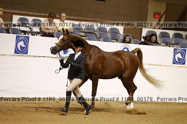 Proof 11r9_00178