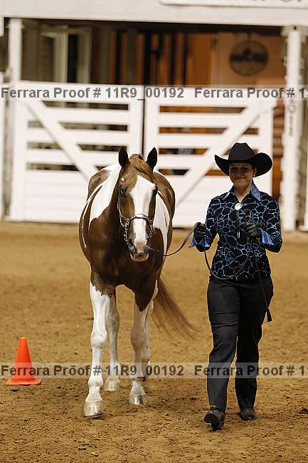 Proof 11r9_00192