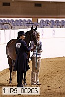 11r9_00206 proof